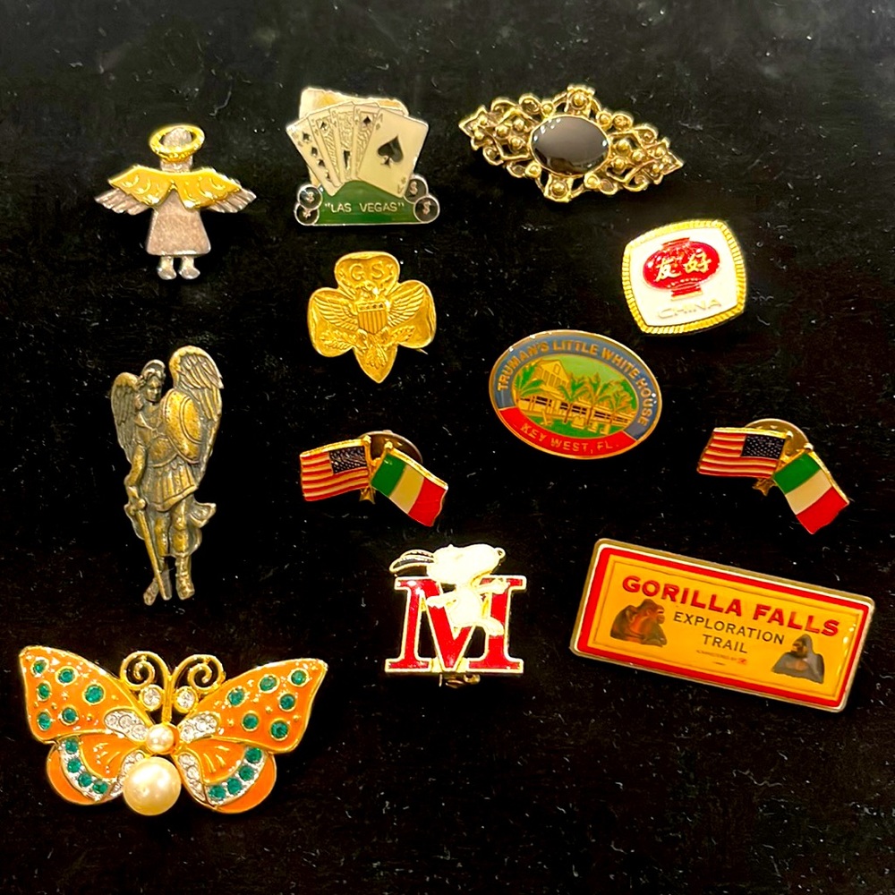 Lot of 12 pins & brooches